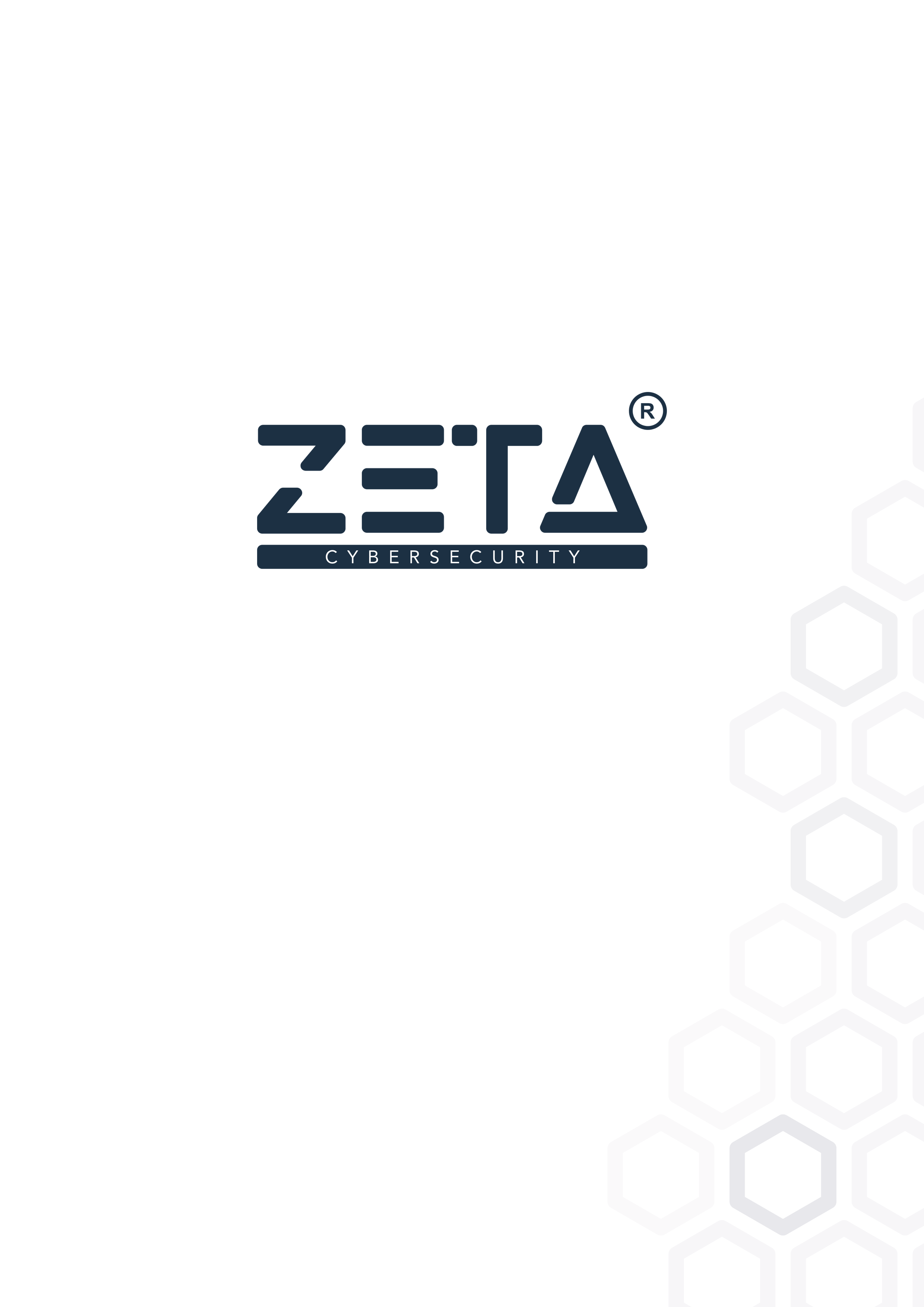 Voorblad ZETA IT Security, wit